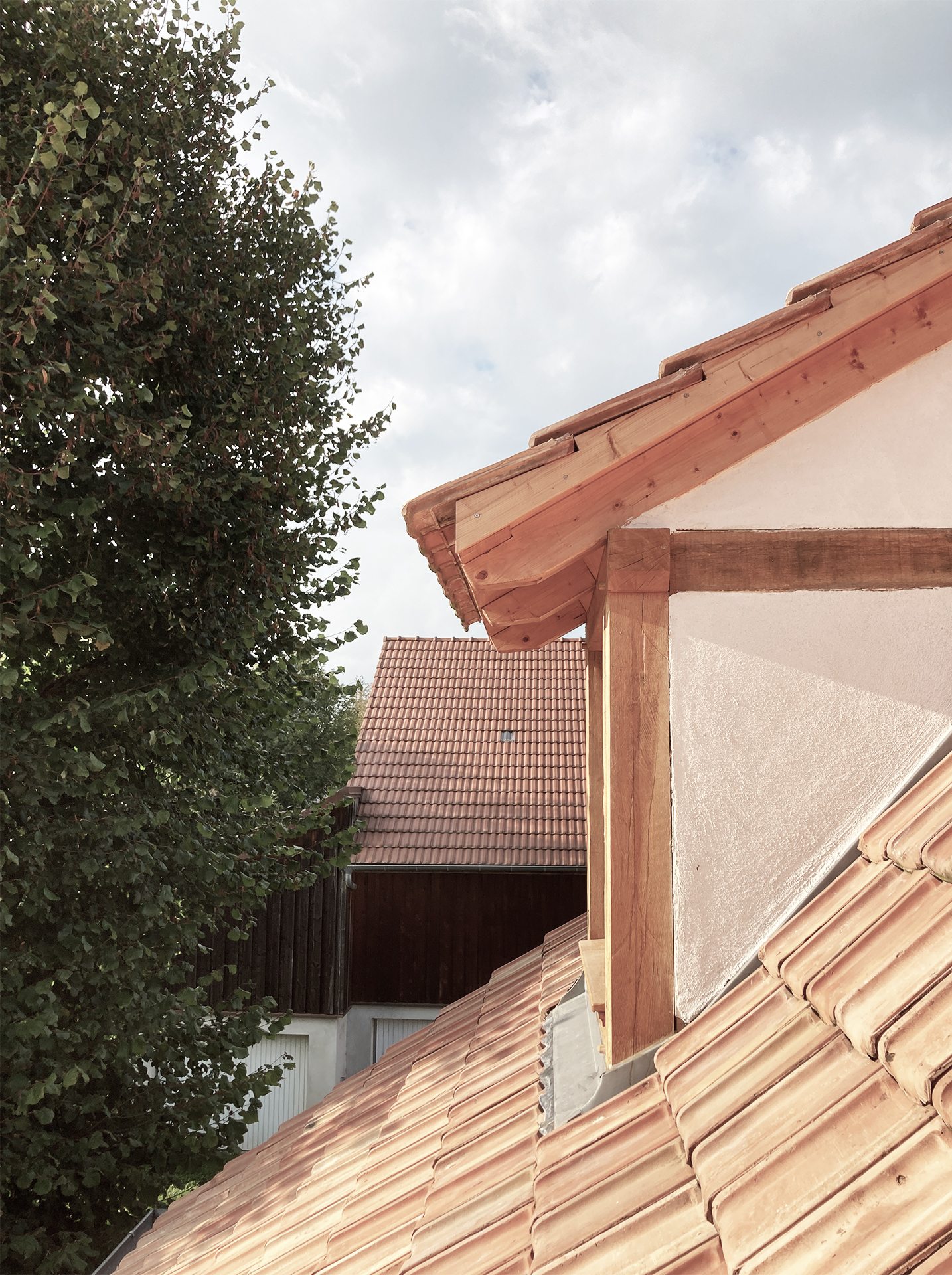 Sutter & Pister - 19