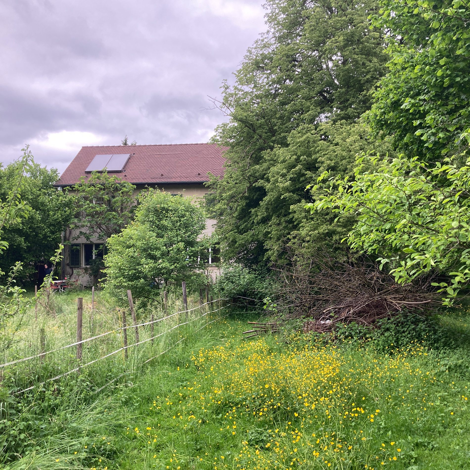 Sutter & Pister - 12